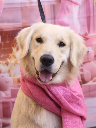 20241214レオくん